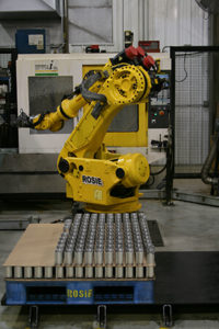 alexandria industries rosie the robot